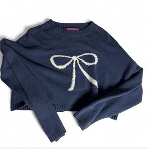 Edikted navy blue bow sweater